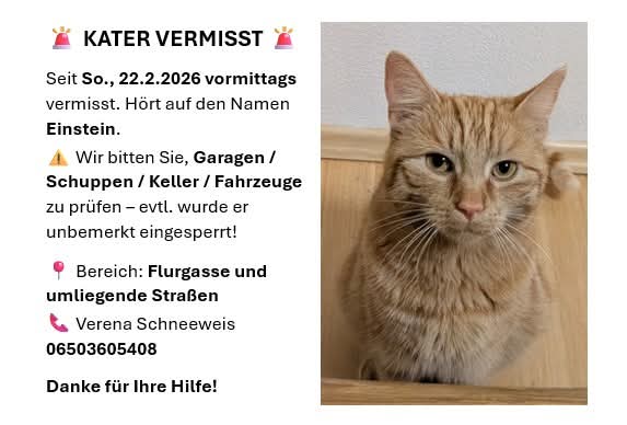 Einstein  260225-151256