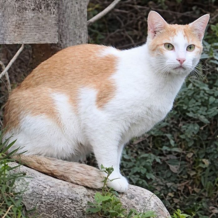 Unbekannt 260329-101033