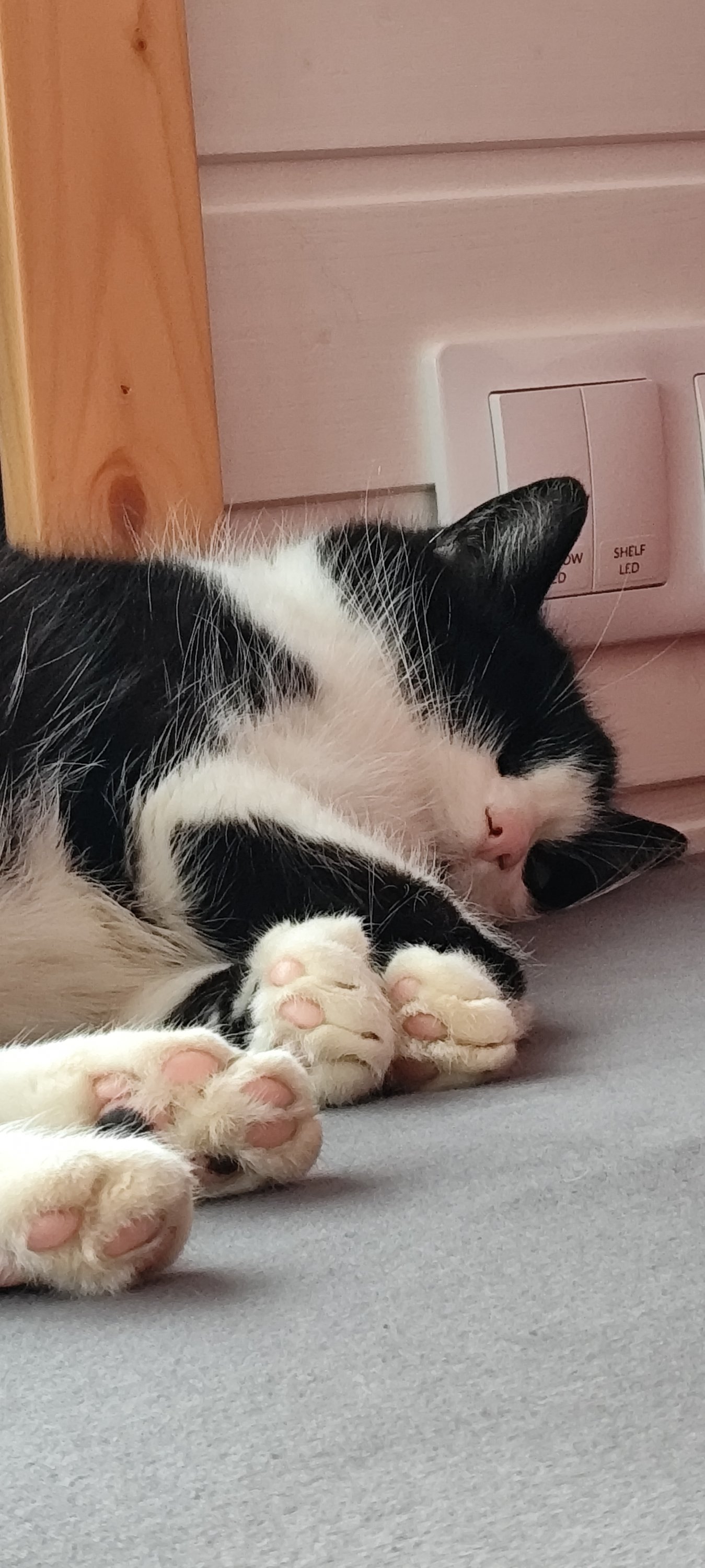 Fabrizio  260515-161455