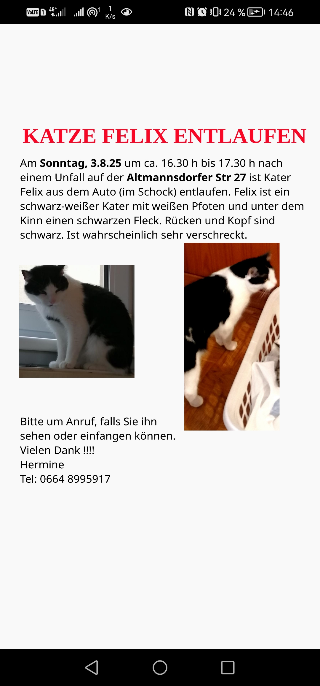 Felix 250807-225004