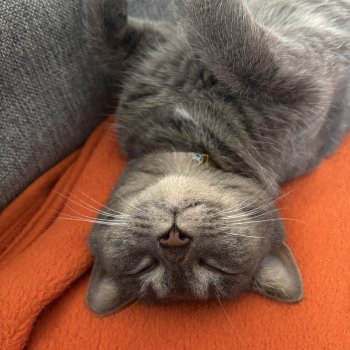 Fikusz 260422-184924