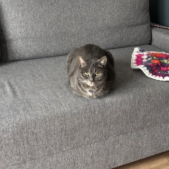 Fikusz 260422-184924