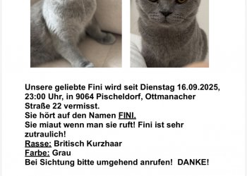 Fini 250917-040149