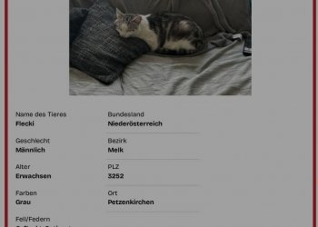 Flecki  260228-140835