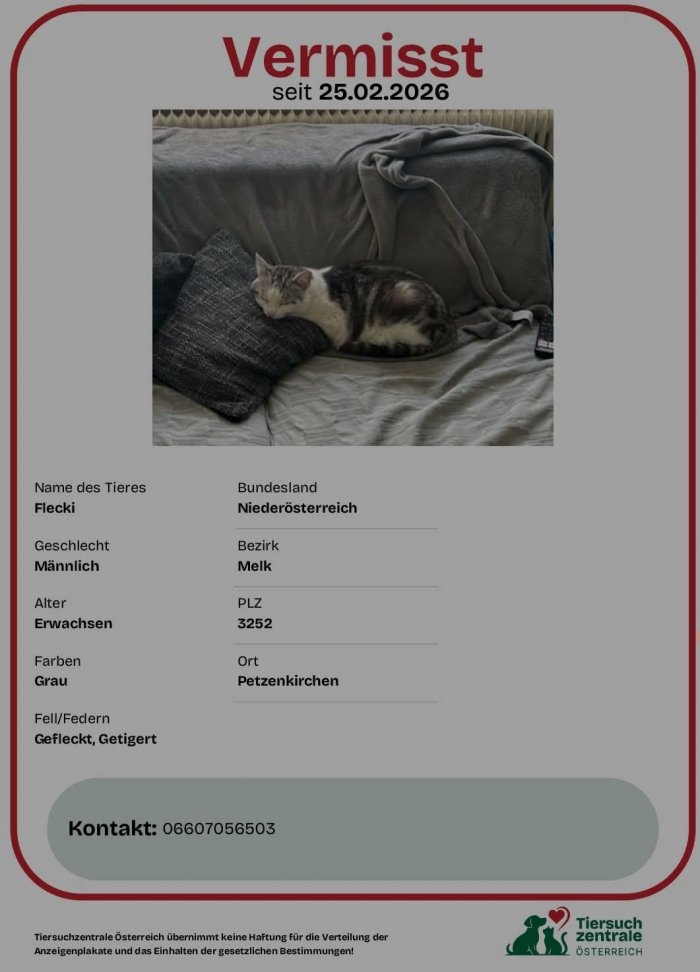 Flecki  260228-140835