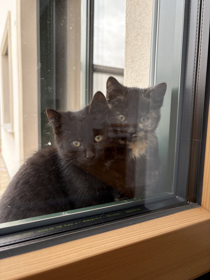 Flecki und Pünktchen 251029-084218