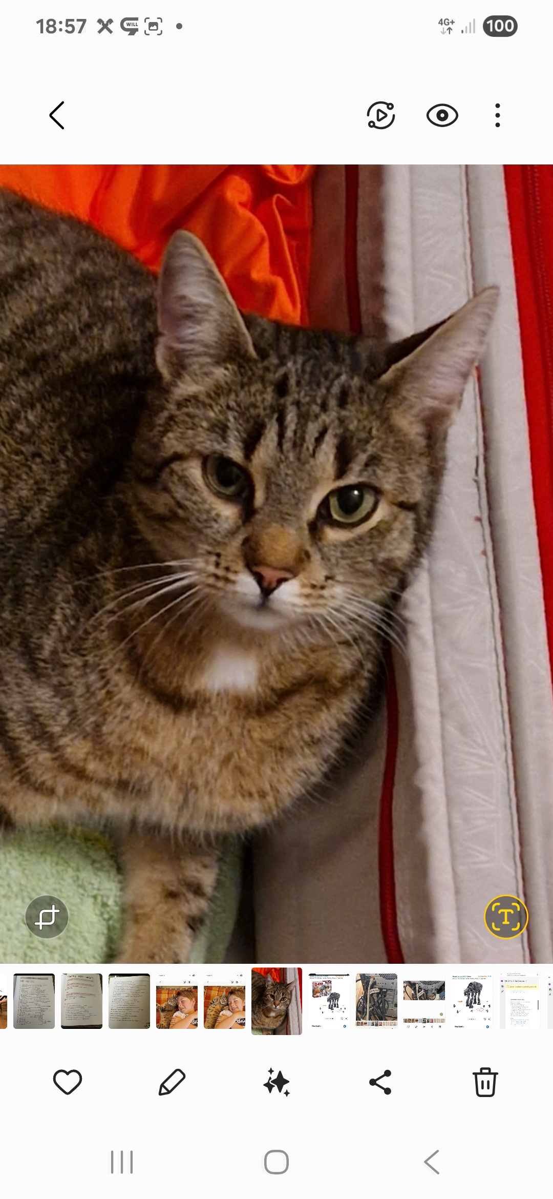 Freche Fritzi 251217-140212