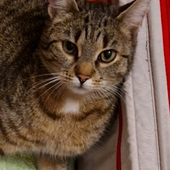 Freche Fritzi 251020-175811