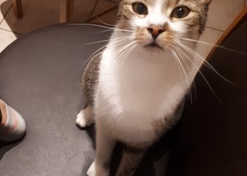 Freddy 251205-191349