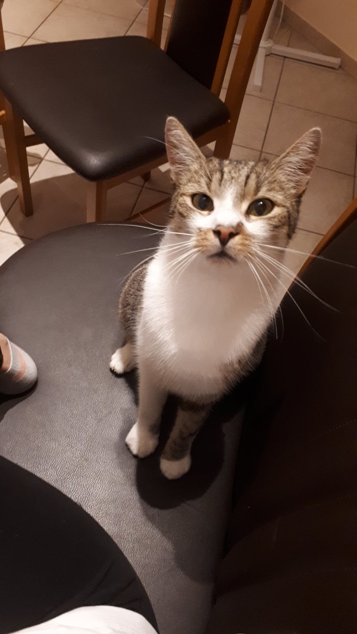 Freddy 251205-191349