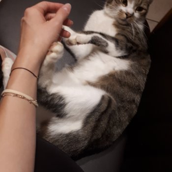 Freddy 251205-191349