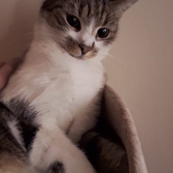 Freddy 251205-191349