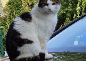 Freddy 251208-162607