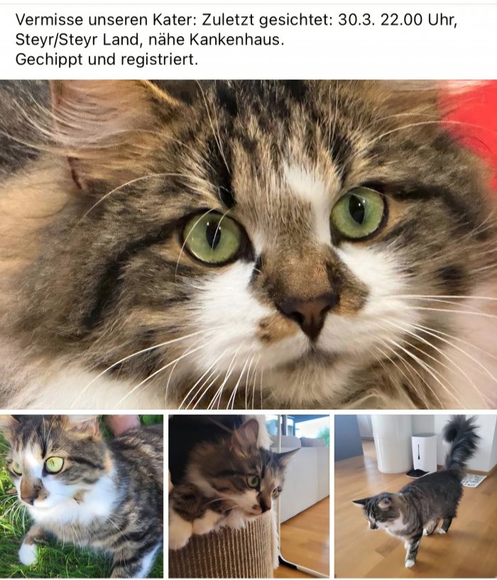 Fridolin 260407-092708