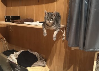 Fritzi  260408-111805