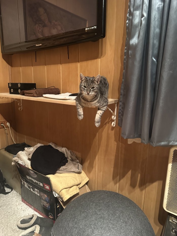 Fritzi 260408-111805