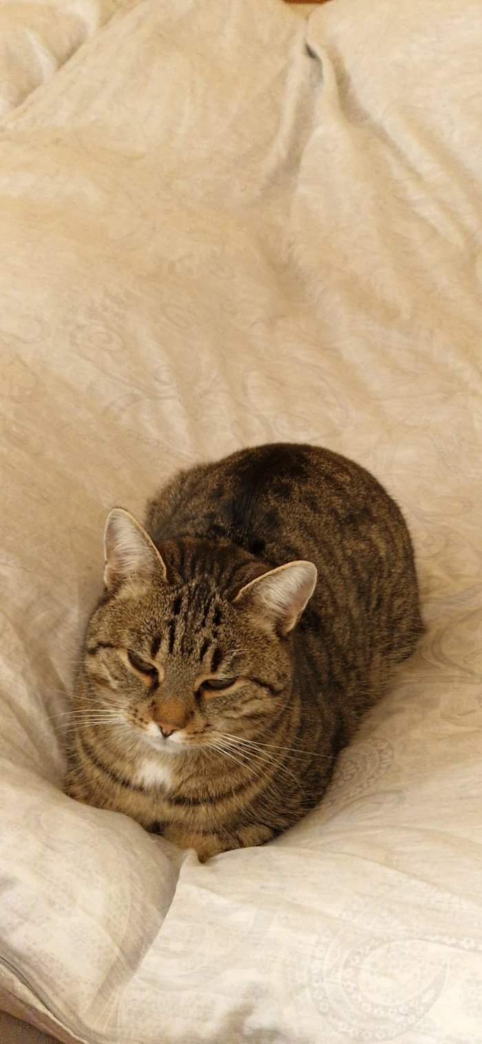 Freche Fritzi 251020-175811