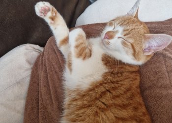 Gabriele Griesacker 251107-195708