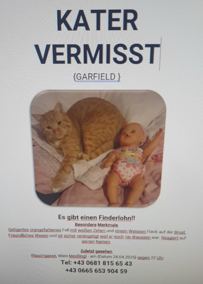 Garfield 250427-205131