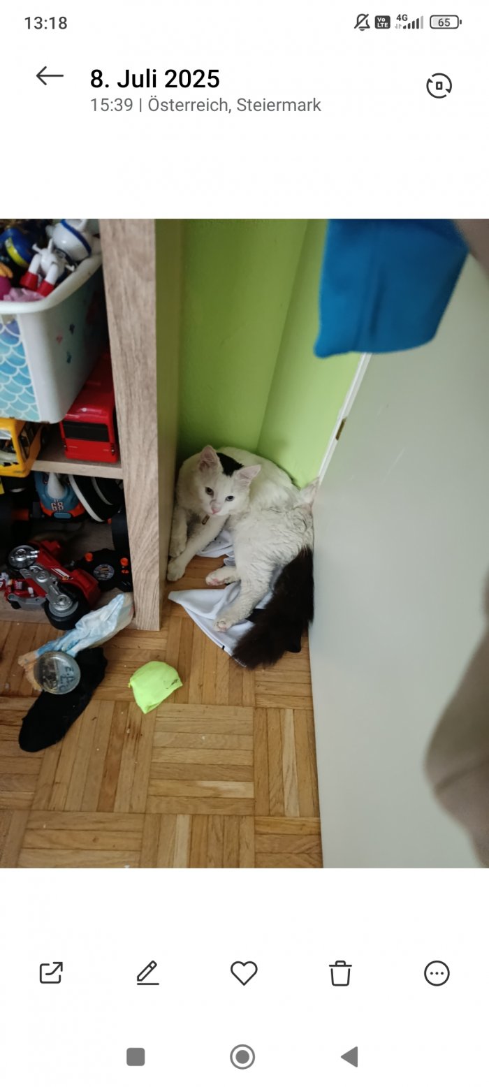 Gilpert  250817-174407