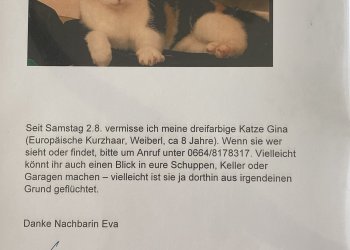 Gina 250805-134944