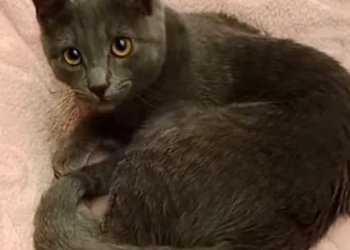 Gölge 260328-192835