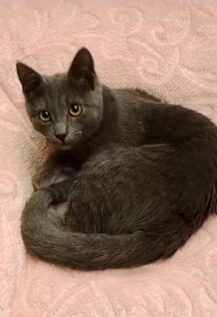 Gölge 260328-192835