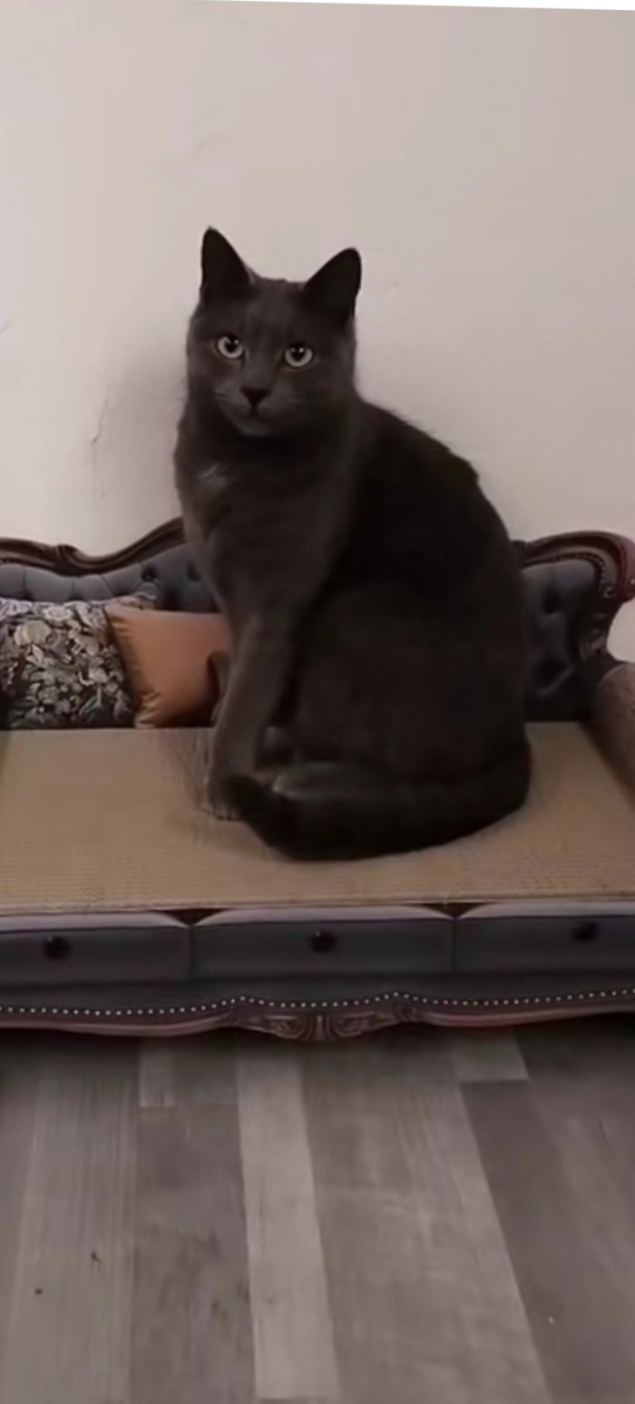 Gölge 260328-192835