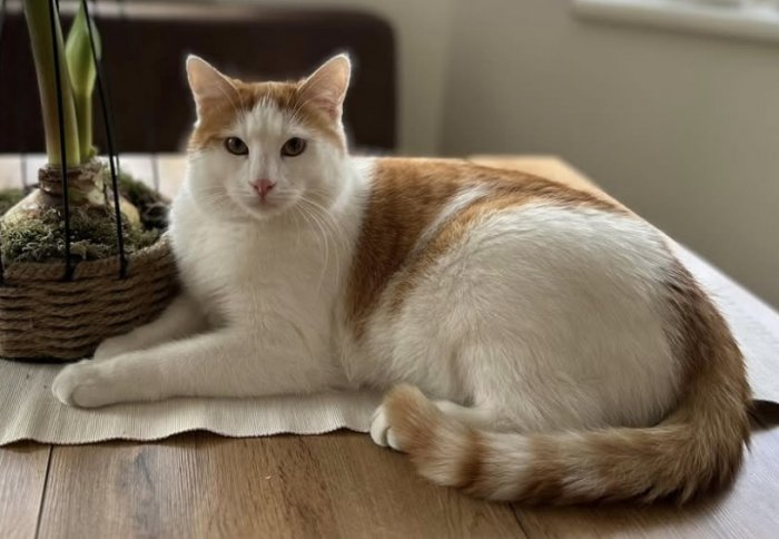 Hagrid 251012-145845