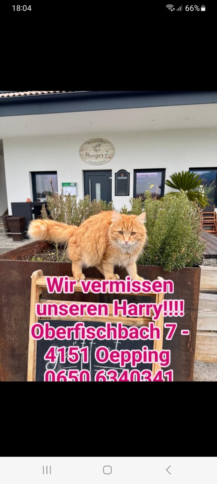 Harry  250421-105749