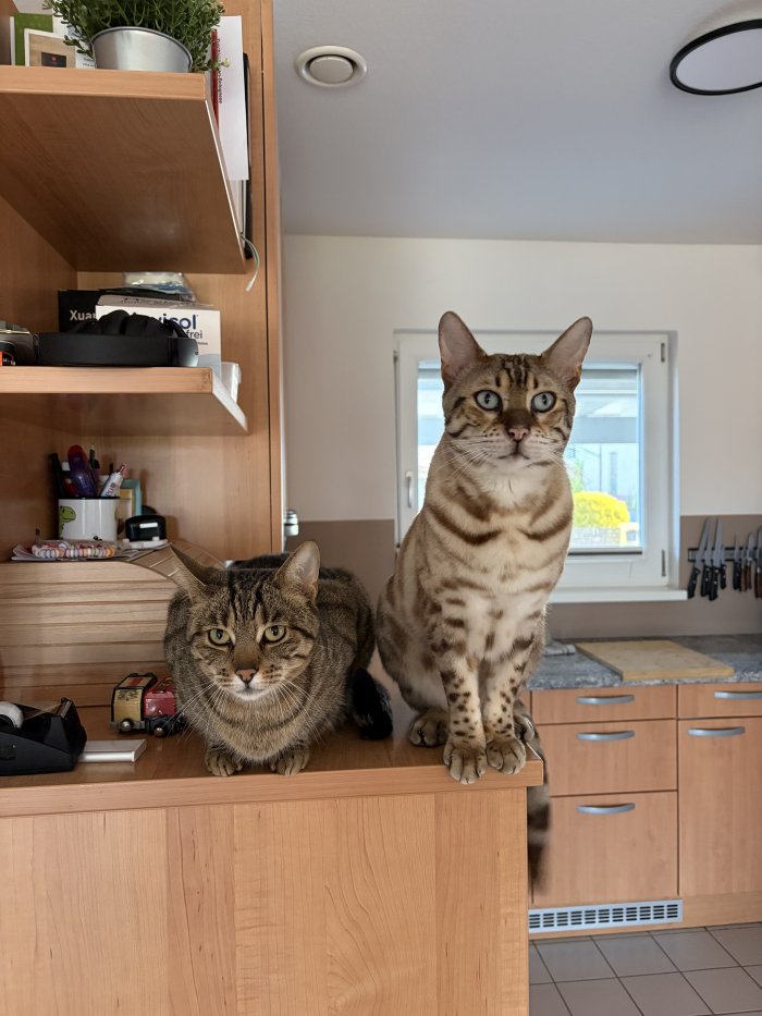 Hektor 260427-194736