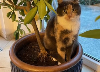 Helena 260412-094307