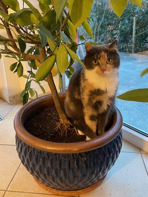 Helena 260412-094307