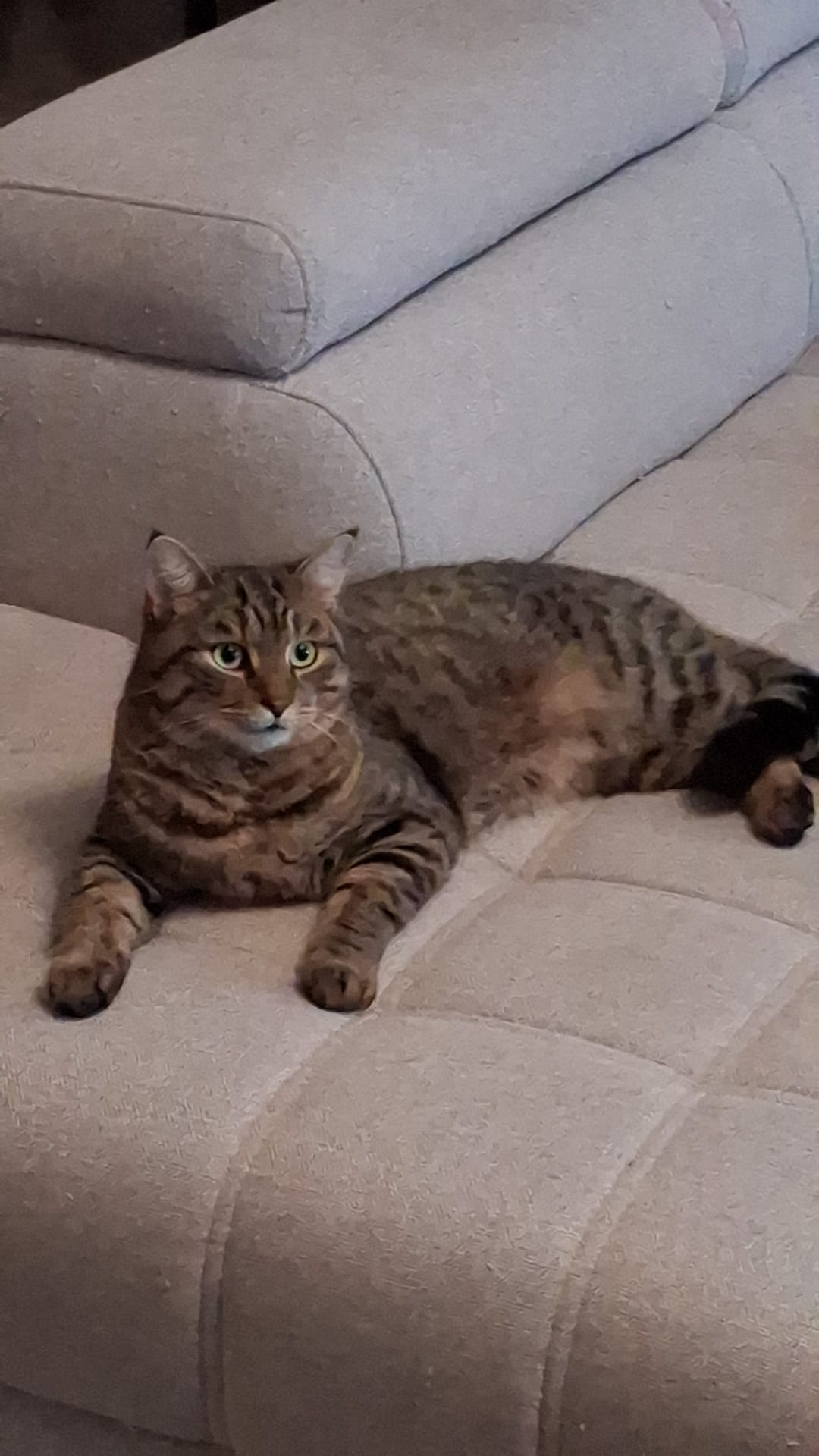 Helmut  260418-171408