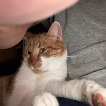 Herr Rossi 250928-220934