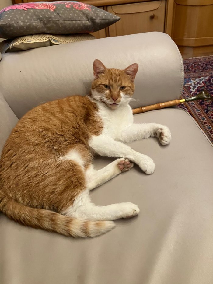 Herr Rossi 250928-220934