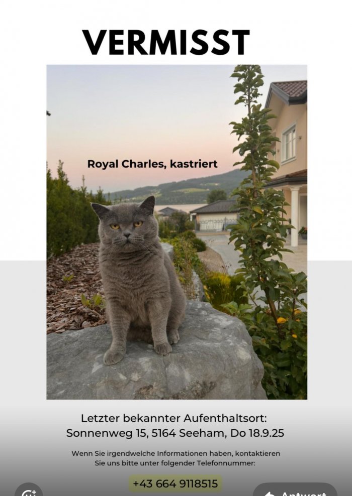 Herta PÖTZELSBERGER 250930-152548