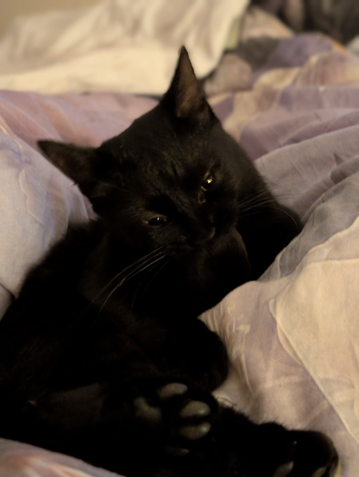 Hiszti 260112-140400