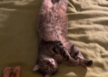 Ingrid Holler 260323-104137