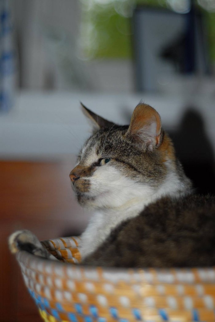 Jersey Girl 251212-224145