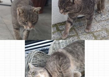 Unbekannt 251110-170609