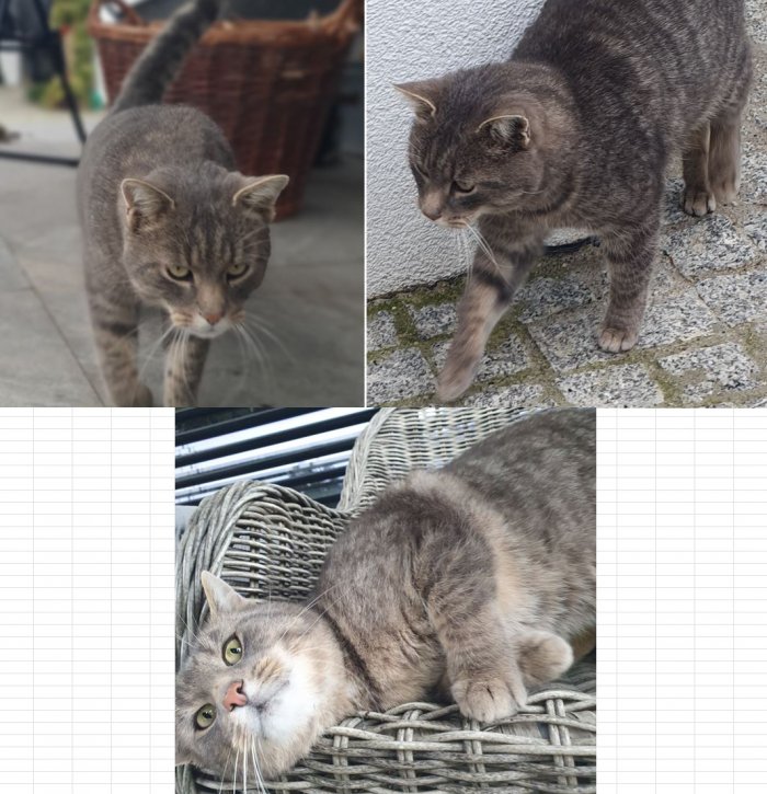 Unbekannt 251110-170609