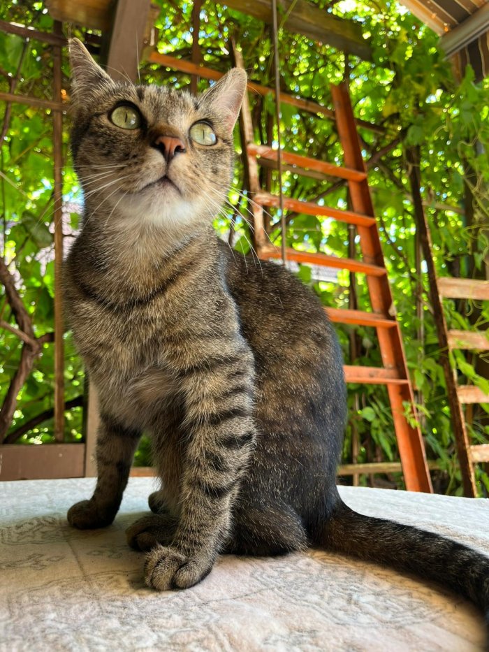 Johnny 260321-150736