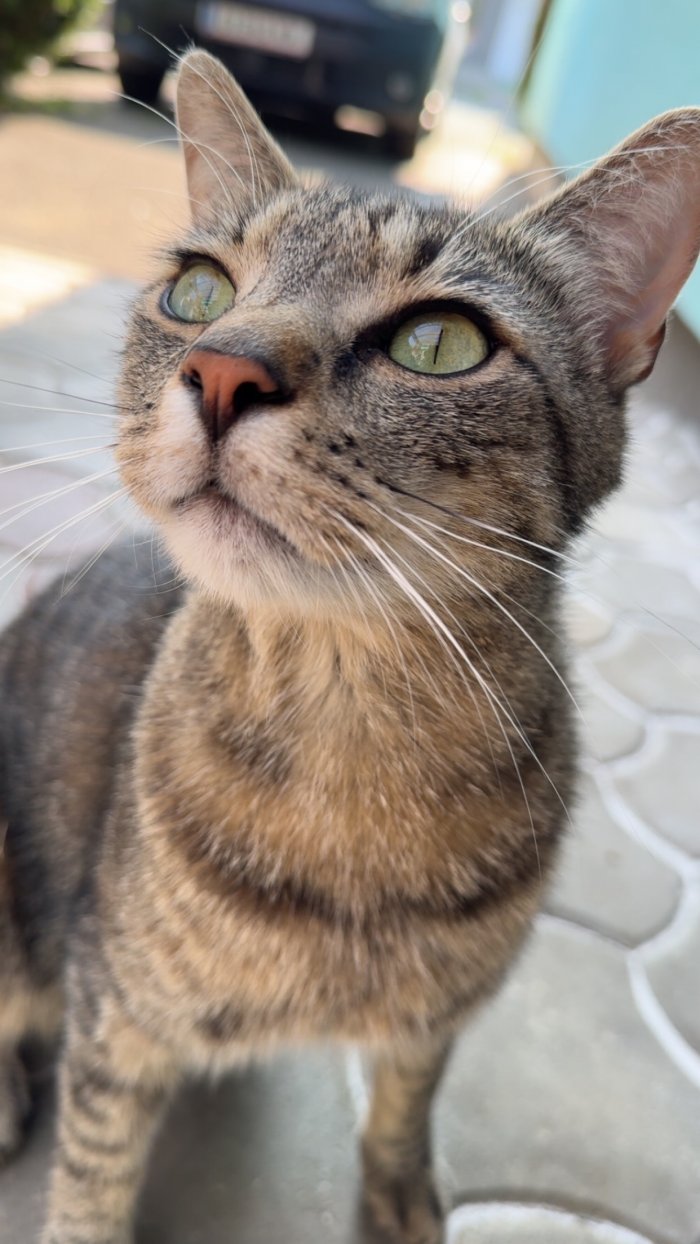 Johnny 260321-150736