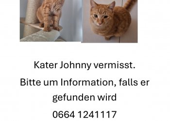 Johnny 260313-105549