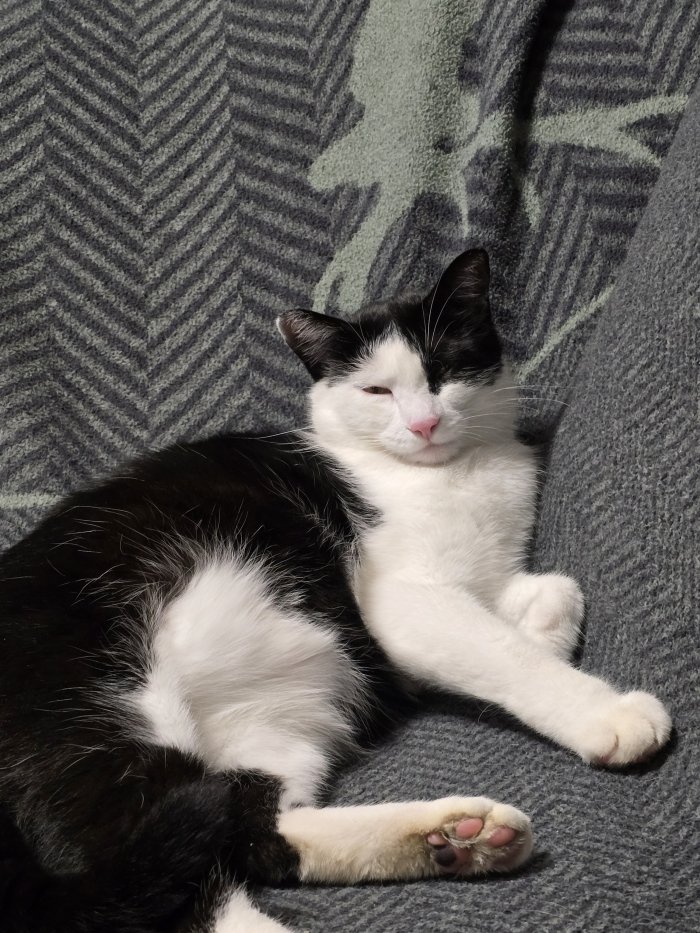 Johnny 260211-191347