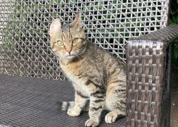 Jumper 251129-165830