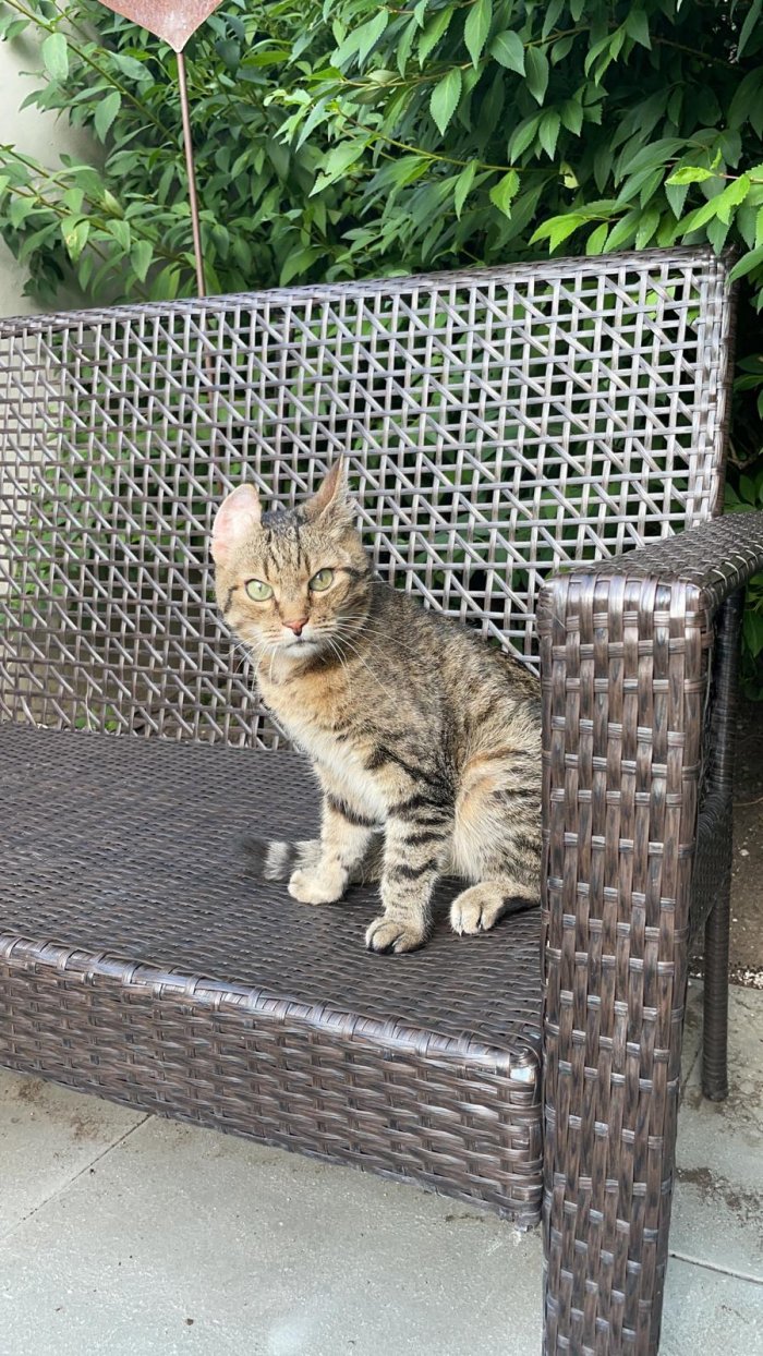 Jumper 251129-165830