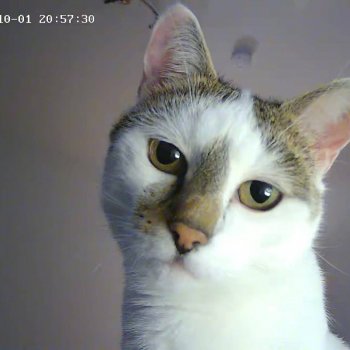 Junior 260415-165926