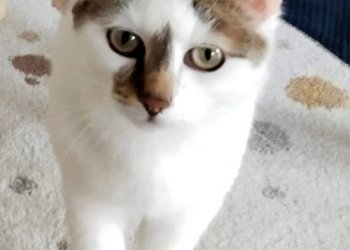 Junior  260415-165926